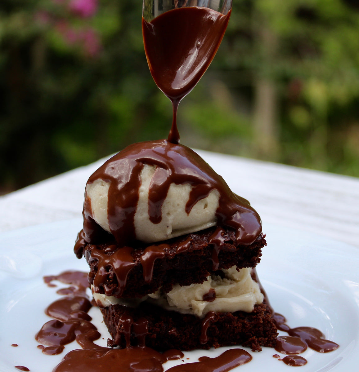 Hot Fudge Sundae &ndash; PlantPure Nation
