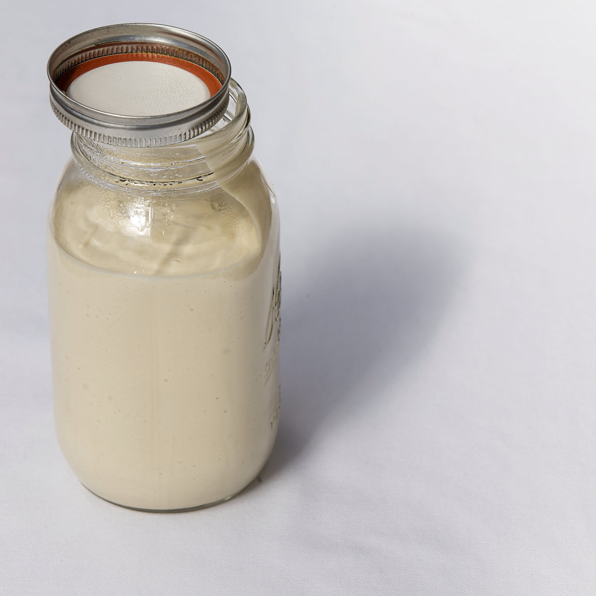 Easy Nut Free Tofu Mayonnaise – PlantPure Nation