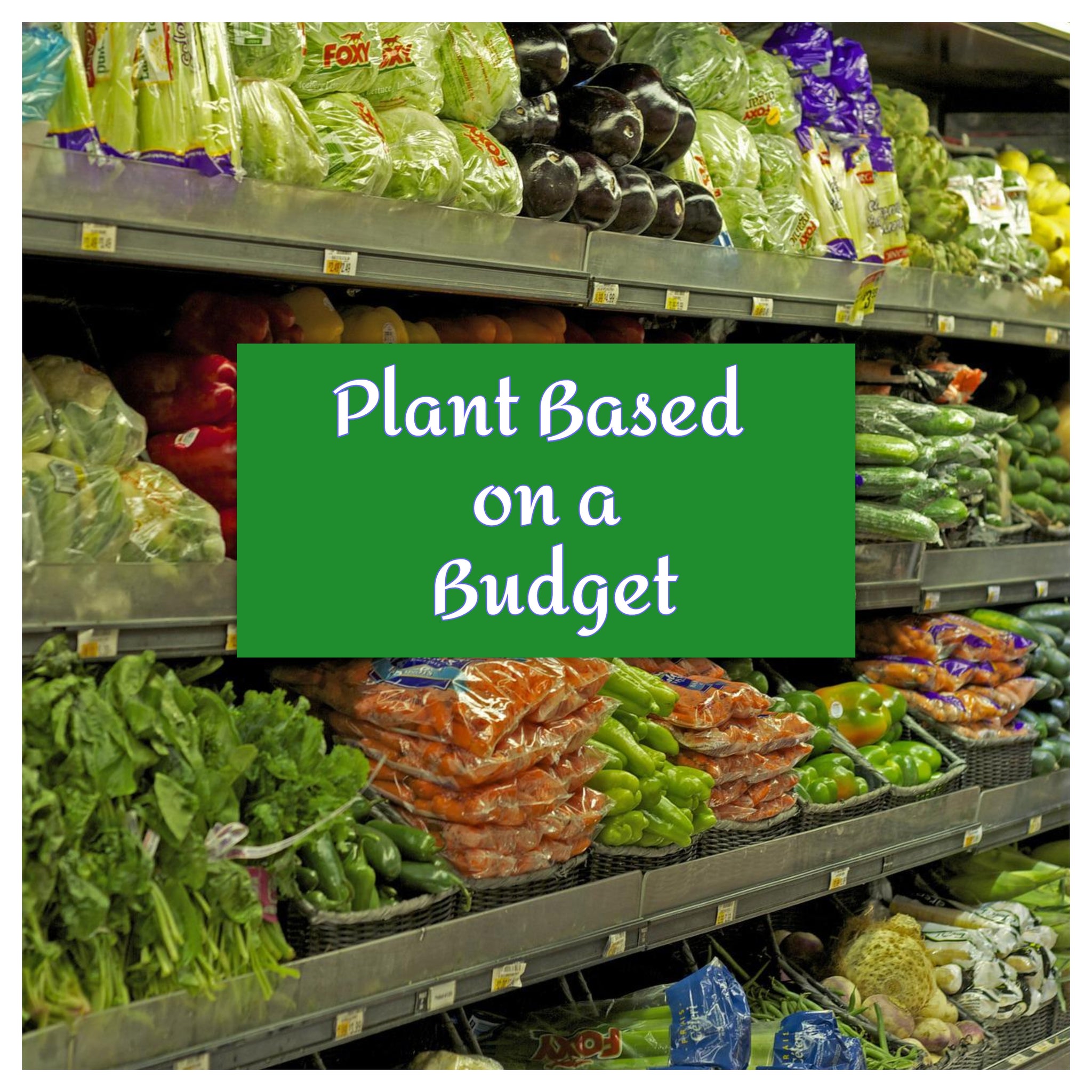 Plant-Based On a Budget: Tips and Resources