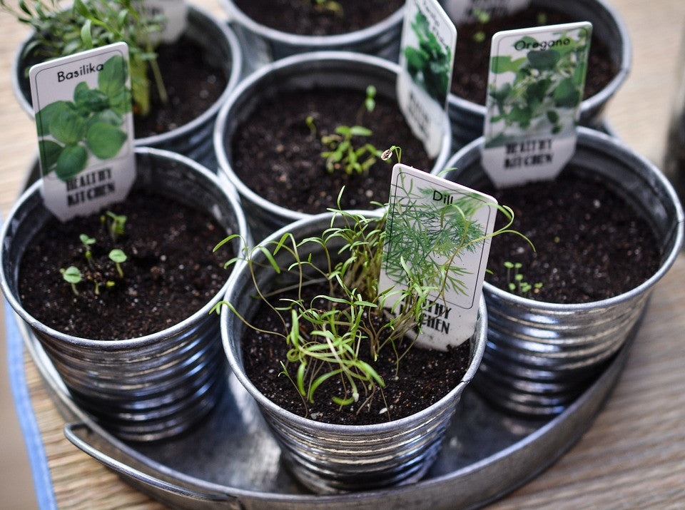 Small Space Gardens