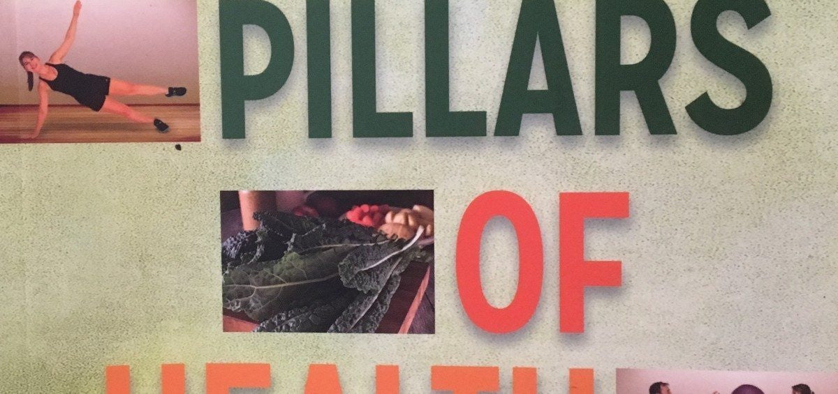 Recommended Reading: The Pillars of Health