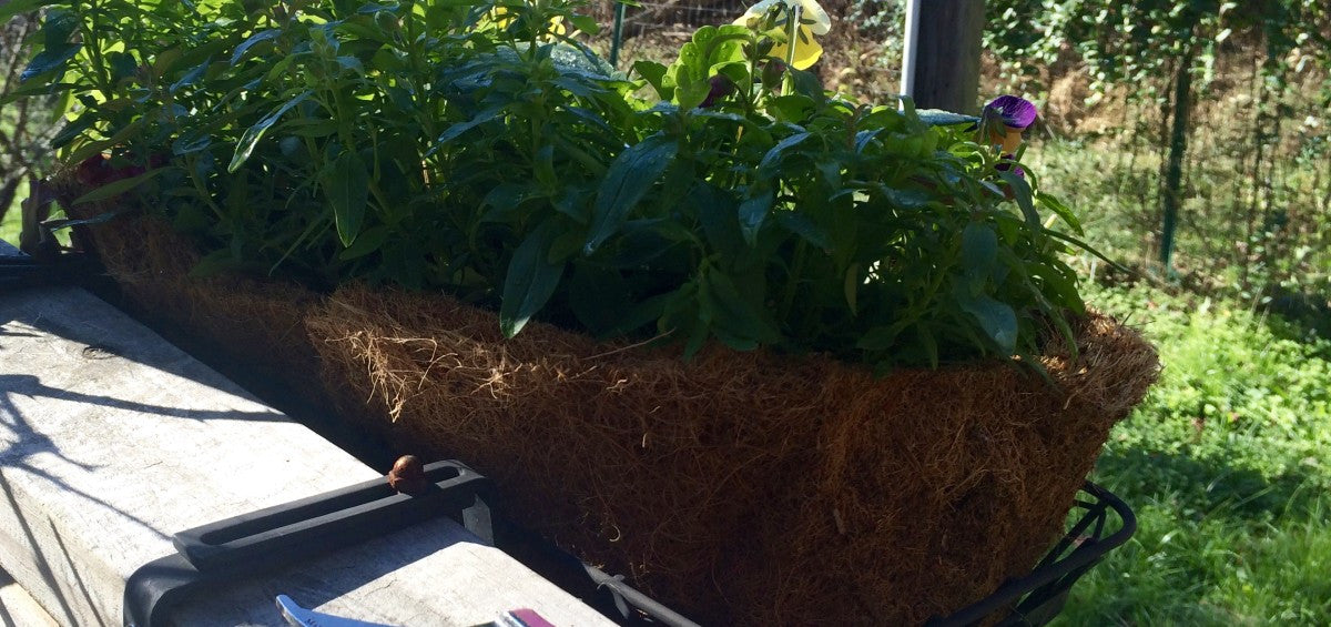 Gifts for the Gardener