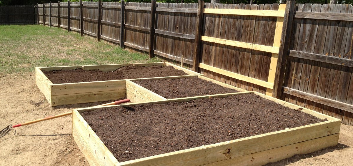 Homegrown: Building Simple Raised Beds