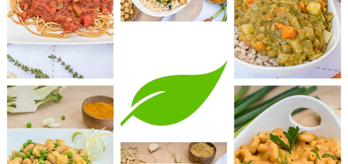 What Exactly is a PlantPure Meal Starter?