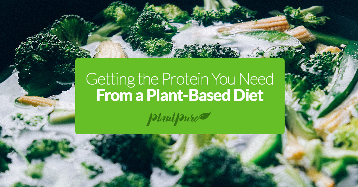 Getting the Protein You Need From a Plant-Based Diet