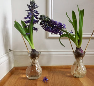 5 Ideas to Beat the Winter Blues!