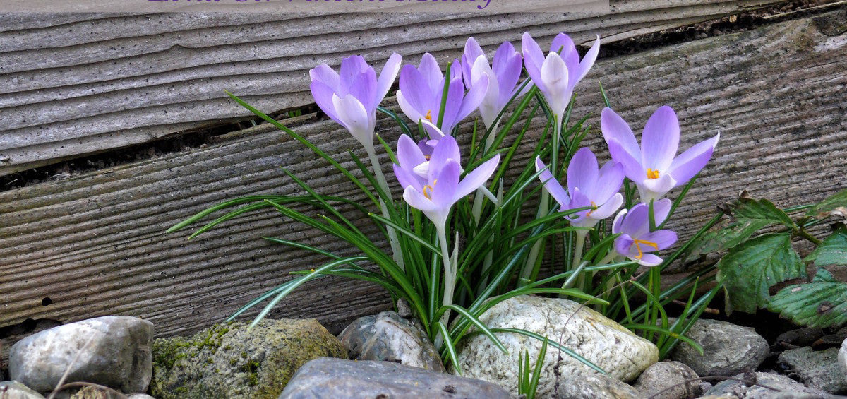 Words for Living Well