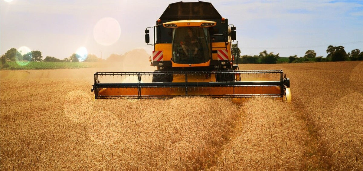 GMOs—Business as Usual?