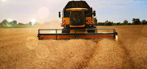 GMOs—Business as Usual?