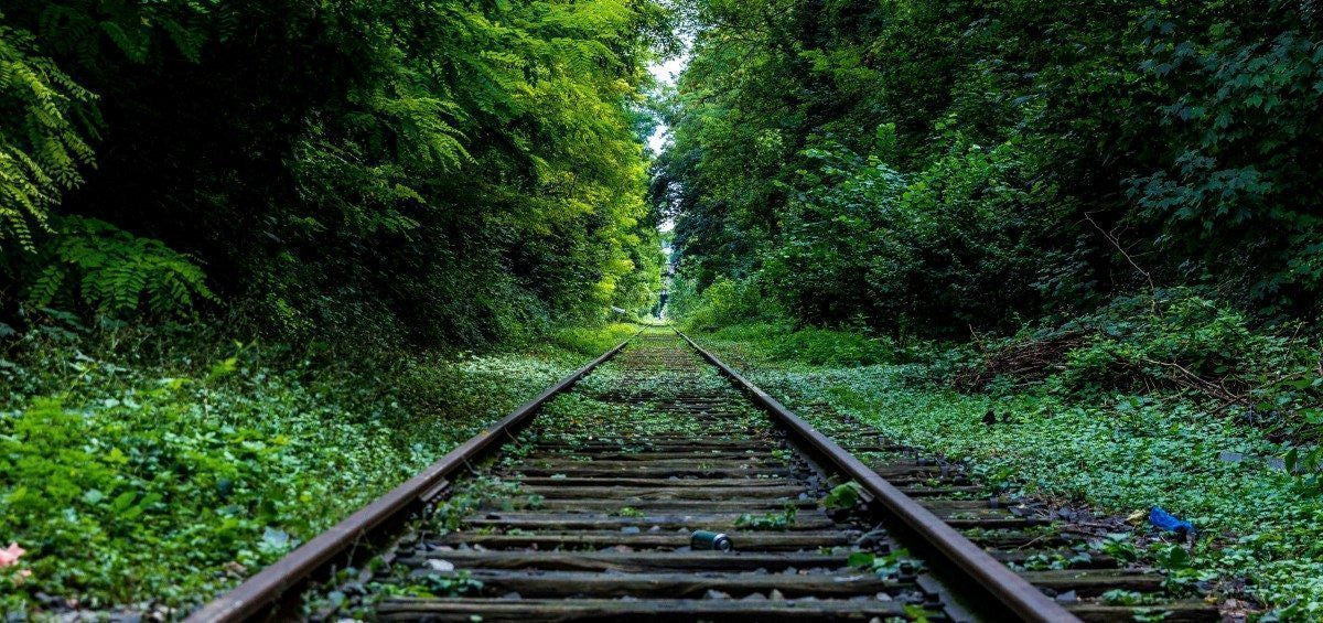 Ten Reasons to Get Outside!