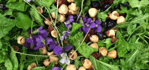 The Story on Nuts