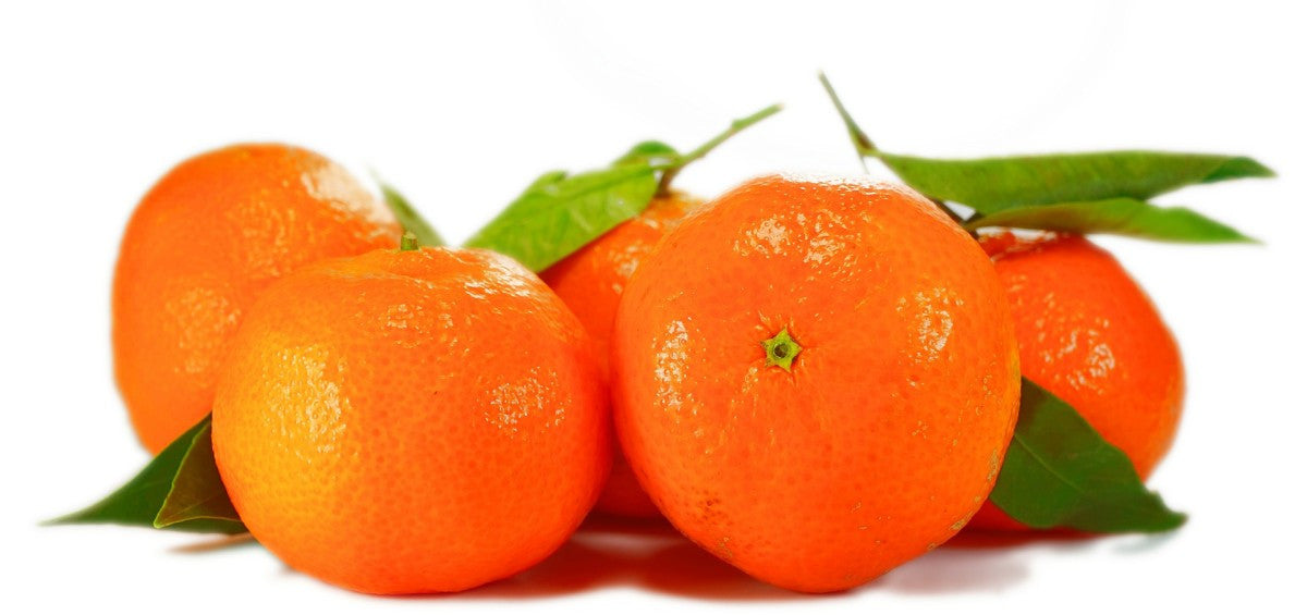 In Season: Oranges
