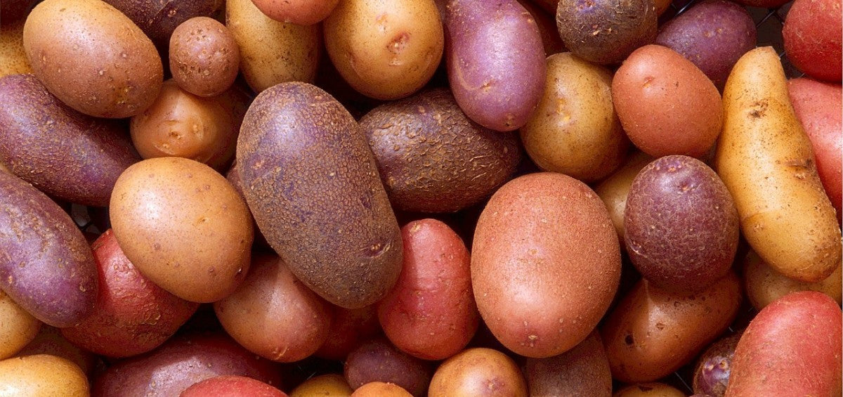 Plant-Based Cooking 101: Batch-Cooking Ahead of Time