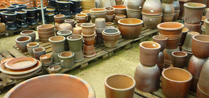 Homegrown: Container Gardening