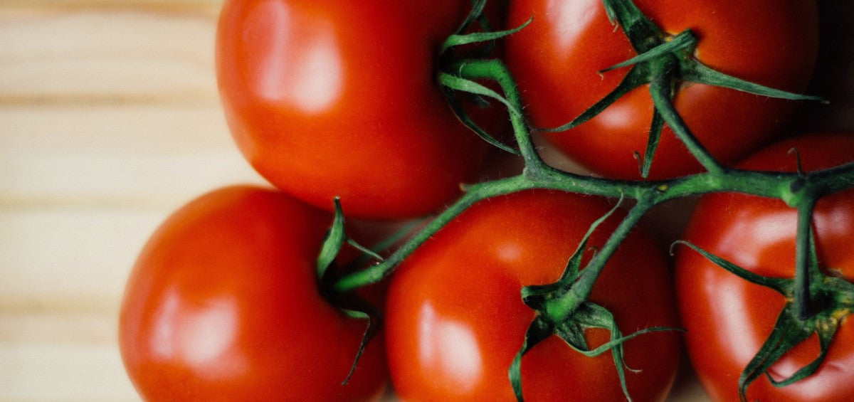 Homegrown: Tomatoes in Containers? Yup!