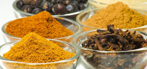 Plant-Based Cooking 101: Pantry Items for the Beginner
