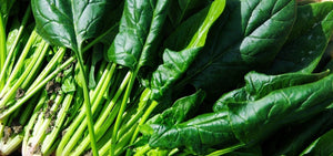 In Season: Spinach